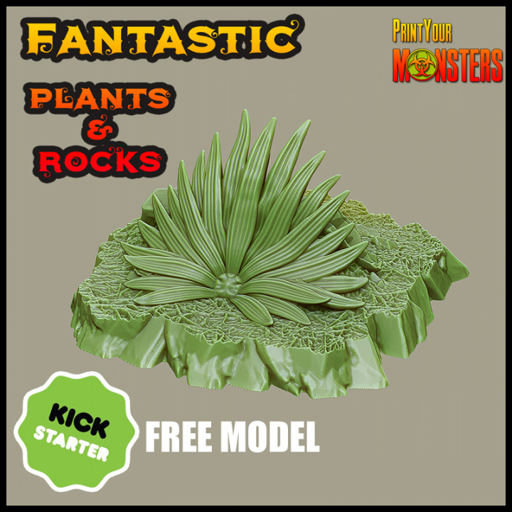 KICKSTARTER- Fantastic Plants and Rocks