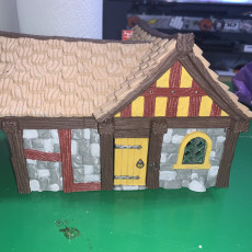 Picture of print of Fantasy house