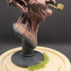 Picture of print of Toadmaster bust This print has been uploaded by justin mercer
