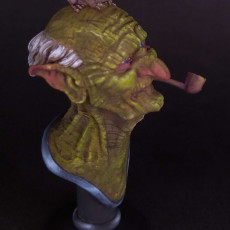Picture of print of Toadmaster bust
