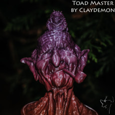 Picture of print of Toadmaster bust This print has been uploaded by Heino Kaljuve