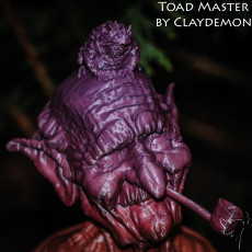 Picture of print of Toadmaster bust This print has been uploaded by Heino Kaljuve