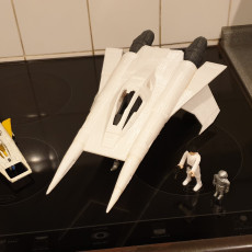 Picture of print of THUNDERFIGHTER