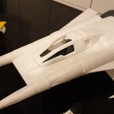Picture of print of THUNDERFIGHTER