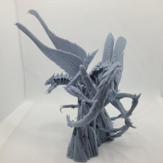 Picture of print of Insectoid Dragon This print has been uploaded by Taylor Tarzwell