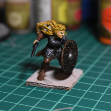 Picture of print of 2 x Shieldmaiden Chieftain Aidda Modular PRESUPPORTED This print has been uploaded by Manuel