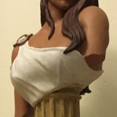 Picture of print of Venus Bust (AMAZONS! Kickstarter) This print has been uploaded by David