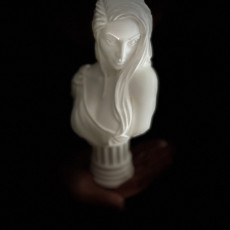 Picture of print of Venus Bust (AMAZONS! Kickstarter) This print has been uploaded by Levian Hawk