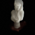 Venus Bust (AMAZONS! Kickstarter) print image