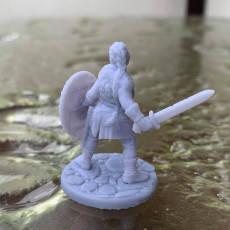 Picture of print of 2 x Shieldmaiden #1 Modular mini PRESUPPORTED This print has been uploaded by Asgard Rising Miniatures