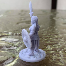 Picture of print of 2 x Shieldmaiden #2 Modular mini PRESUPPORTED This print has been uploaded by Asgard Rising Miniatures
