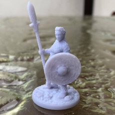 Picture of print of 2 x Shieldmaiden #2 Modular mini PRESUPPORTED This print has been uploaded by Asgard Rising Miniatures