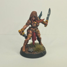 Picture of print of Livia Assassin Heroine (AMAZONS! Kickstarter) This print has been uploaded by Dan