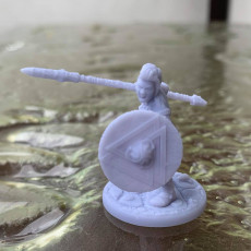 Picture of print of 2 x Shieldmaiden #3 Modular PRESUPPORTED