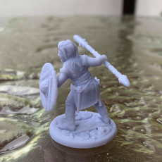 Picture of print of 2 x Shieldmaiden #3 Modular PRESUPPORTED