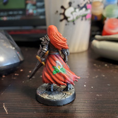 Picture of print of Lydia, the Lioness - Swordswoman - 32mm - DnD - This print has been uploaded by Richard Cliffen