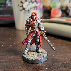 Picture of print of Lydia, the Lioness - Swordswoman - 32mm - DnD - This print has been uploaded by Richard Cliffen