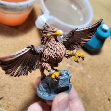 Picture of print of Skreek - Griffin - 32mm - DnD