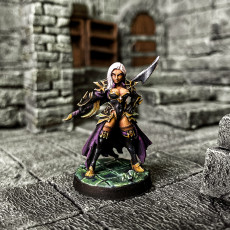 Picture of print of Dalila - Swordswoman - 32mm - DnD This print has been uploaded by Kevin