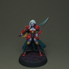 Picture of print of Dalila - Swordswoman - 32mm - DnD This print has been uploaded by David