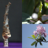 Tabletop plant: "Rhododendron Nostril" (Alien Vegetation 26) image
