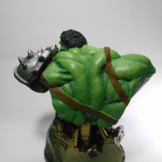 Picture of print of Wicked Marvel Hulk 3d Bust: Avengers STL ready for printing This print has been uploaded by 3D Nova Pro