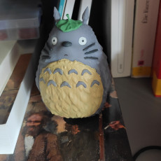 Picture of print of Totoro(My Neighbor Totoro) This print has been uploaded by Wikia