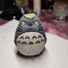 Picture of print of Totoro(My Neighbor Totoro) This print has been uploaded by Andrea