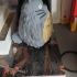 Totoro(My Neighbor Totoro) print image