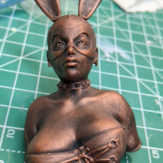 Picture of print of bdsm bunny girl Lara bust This print has been uploaded by Max Starkjohann