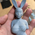bdsm bunny girl Lara bust print image