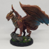 Adult Copper Dragon Pack (supported) image