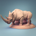 Rhinoceros mounted and unmounted image