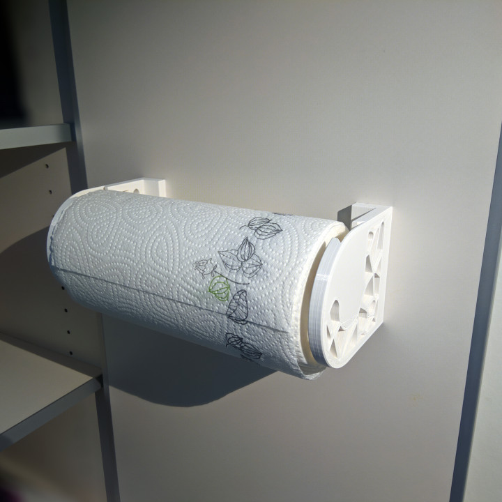 Voronoi Paper Towel Dispenser