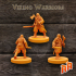 Viking Warriors x3 image