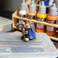 Picture of print of Dwarven Female Paladin Miniature - pre-supported