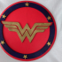 Wonder woman shield (DC super hero girls) image