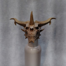 Picture of print of Dragon Skull 1