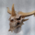 Dragon Skull 1 print image