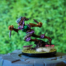 Picture of print of Quicksliver - Fey Fighter - D&D 5e  - 32mm This print has been uploaded by Willems Eric