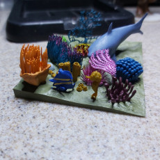 Picture of print of Coral reef