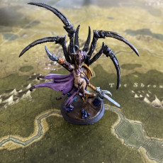 Picture of print of Spider Priestess Shiveryah