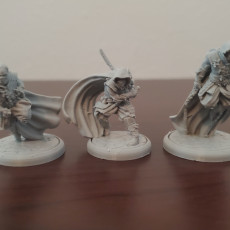 Picture of print of Dragon Empire Ninjas