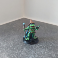 Picture of print of Frog Wizard