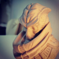 Picture of print of Alien Bounty Hunter bust This print has been uploaded by Namu3D