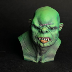 Picture of print of Orc Bust