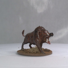 Picture of print of Boars updated