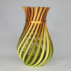 Picture of print of Weird Twisty Vase 这个打印已上传 Robin 3Dverse