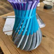 Picture of print of Weird Twisty Vase 这个打印已上传 David Hoerz