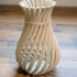 Weird Twisty Vase image